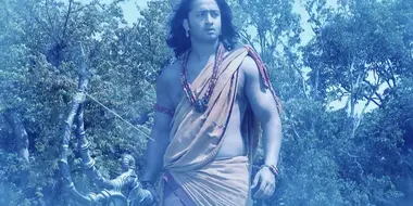 The Pandavas die