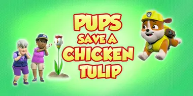 Pups Save a Chicken Tulip
