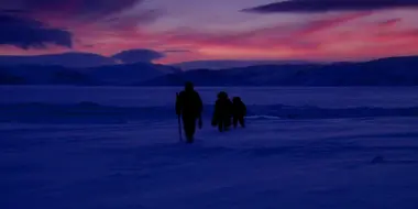 Arctic: Life in the Deep Freeze