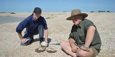 Dampier Peninsula