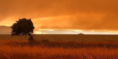 Greece's Megafires