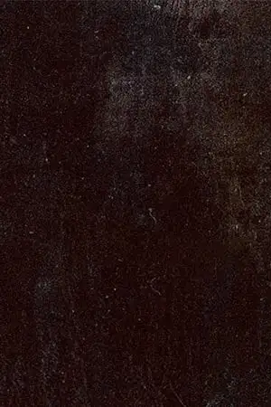 Limited Series