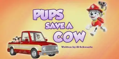 Pups Save a Cow