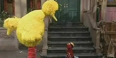 Big Bird Breaks Elmo's Tricycle