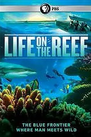 Life on the Reef