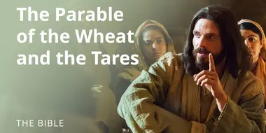 Matthew 13 | Parables of Jesus: The Parable of the Wheat and the Tares