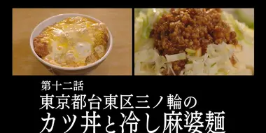 Katsudon and Hiyashi Mapo Noodles of Minowa, Taito Ward, Tokyo