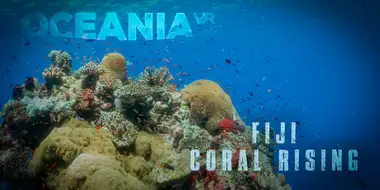 FJI: Coral Rising