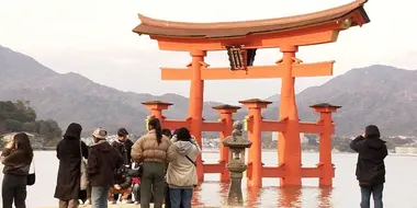 Miyajima Island Introduces 100 Yen Visitor Tax