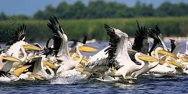 Danube Delta: Europe Untamed