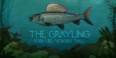 The Grayling: River Ure, Yorkshire Dales