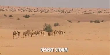 Desert Storm