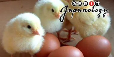 Chickens and Eggs