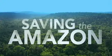 Saving The Amazon